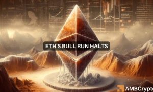 News Articles Fi Editors 8 1000x600.jpg