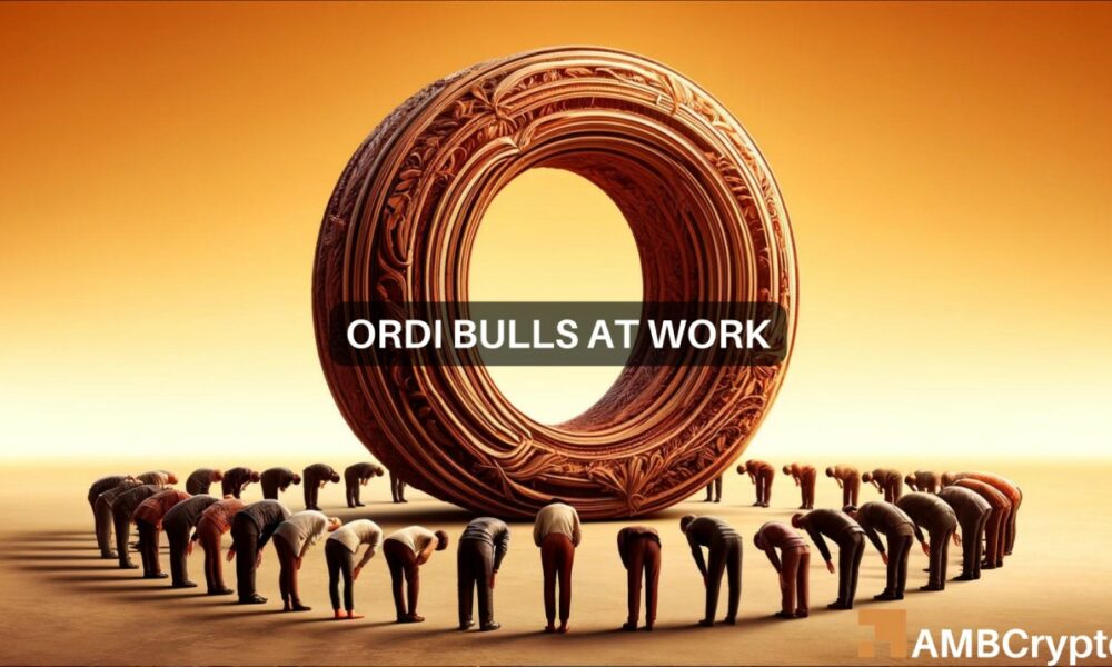 Ordi 1000x600.jpg