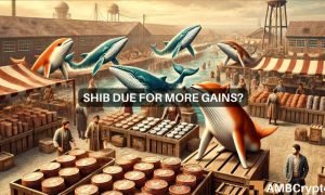 Shib 1 1000x600.jpg