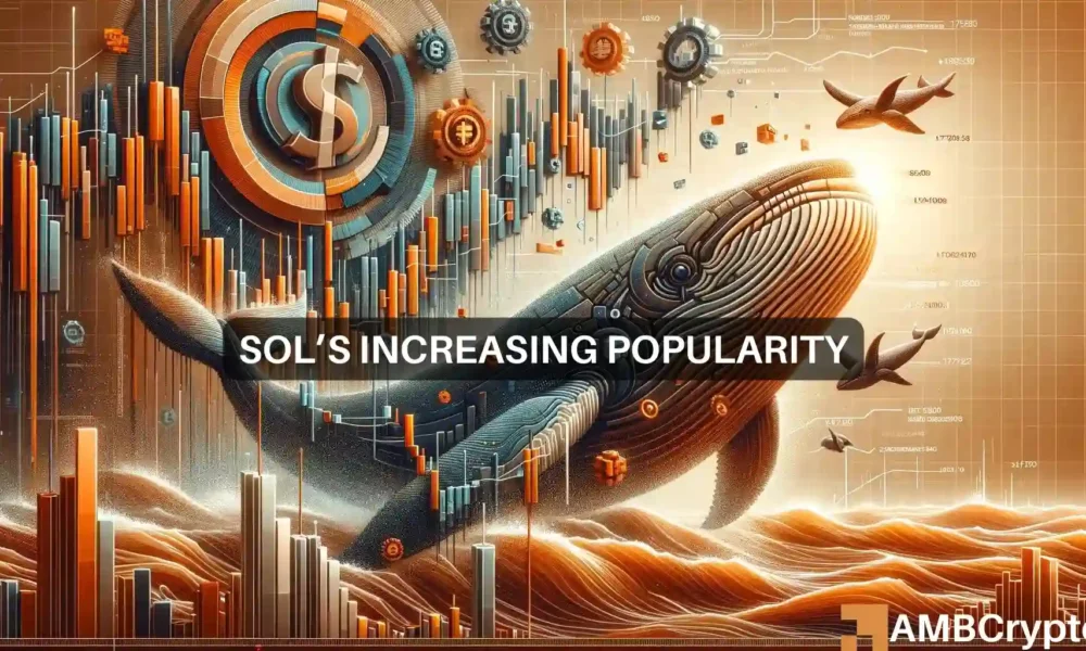 Solanas Increasing Popularity 1000x600.webp.webp