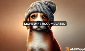 Wif Accumulation 1 1000x600.webp.webp