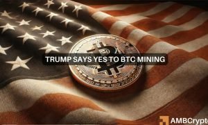 Btc 4 1000x600.jpg