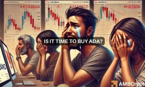 Cardano 1000x600.jpg