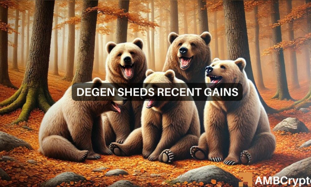 Degen 1000x600.jpg