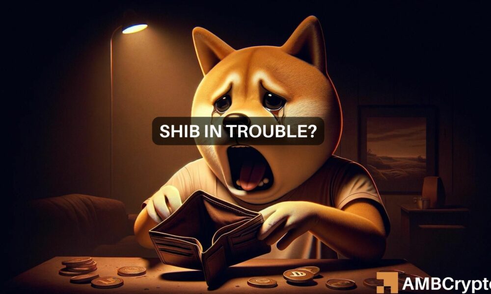 Kelvin Shib Fi 1000x600.jpg