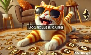 Mog Fi 1000x600.jpg
