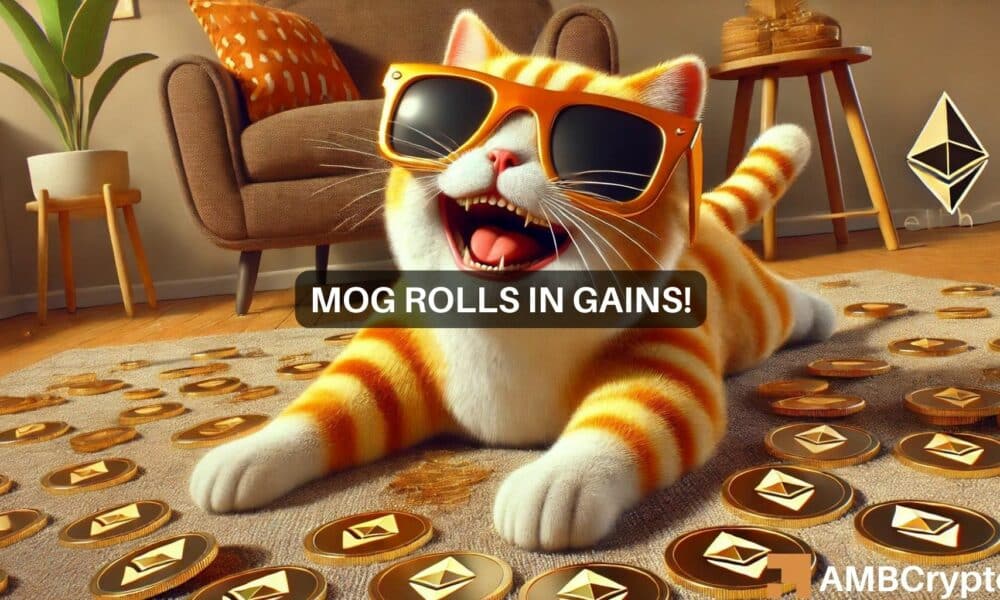 Mog Fi 1000x600.jpg