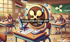 Xrp Fi 1 1000x600.jpg