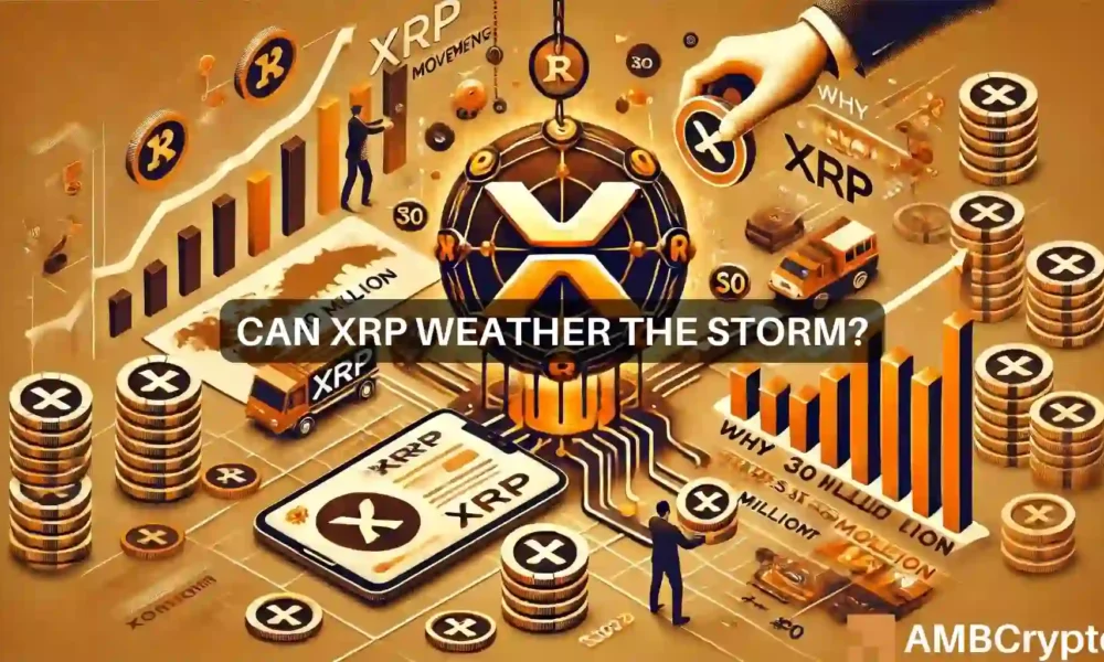 Xrp Transaction News 1000x600.webp.webp