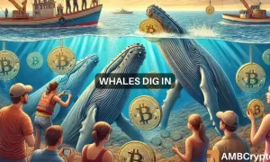 Btc 1 1000x600.webp.webp