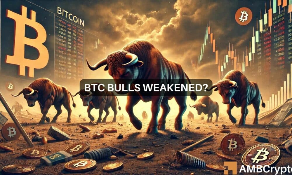 Btc Cycle Top Fi 1000x600.jpg