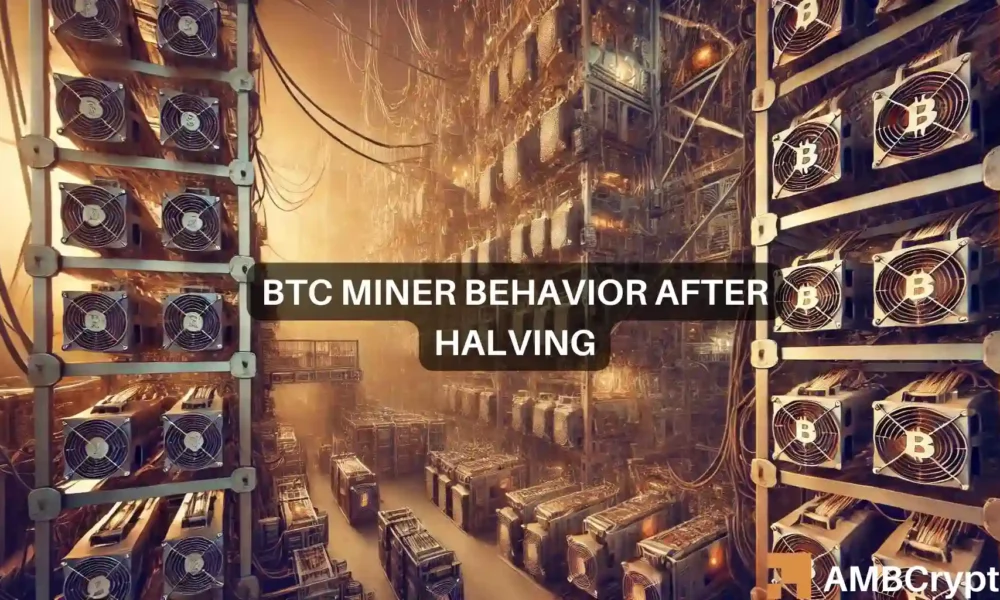 Bitcoin Featured Image 1000x600.webp.webp