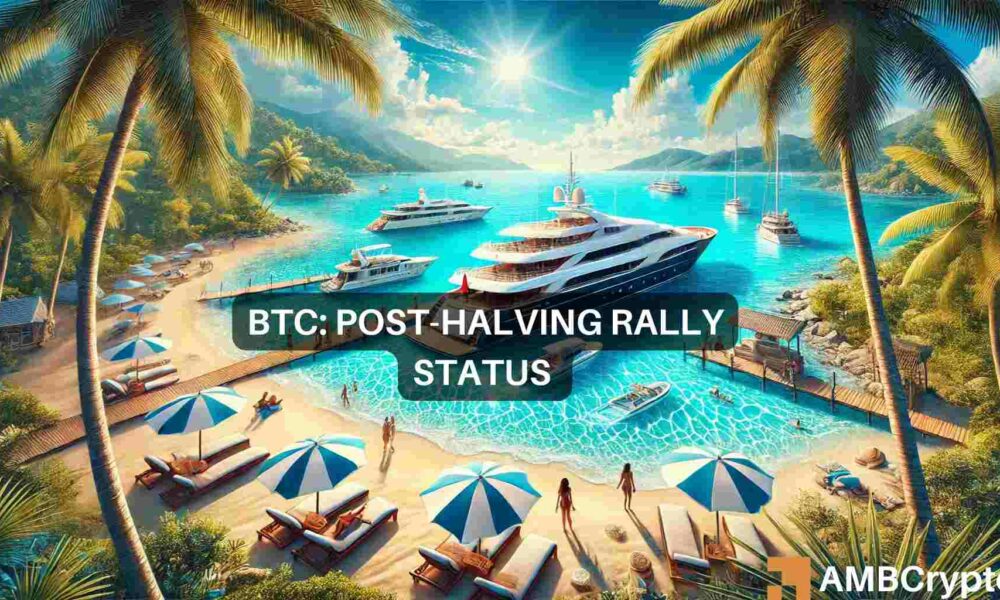 Bitcoin Rally 2024 1000x600.jpeg