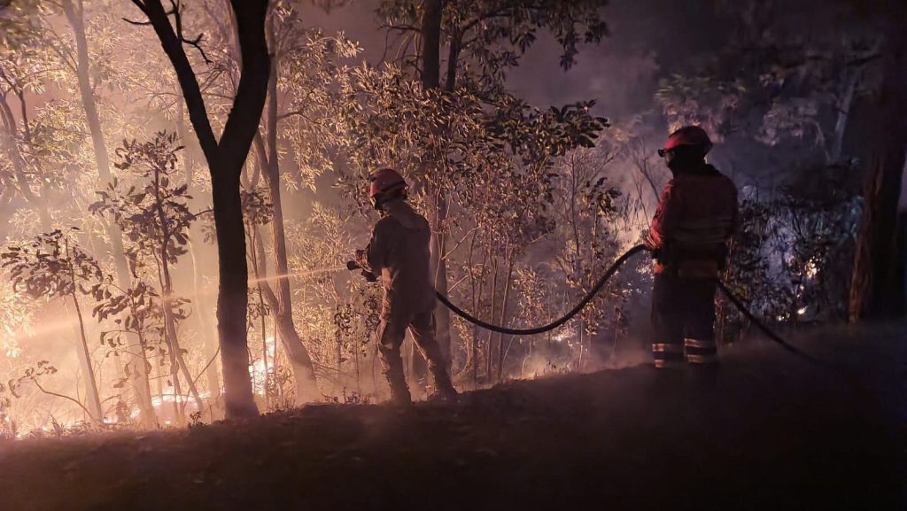 Combate Margens Br 262 Foto Bombeiros 3 E1719922063802.jpeg