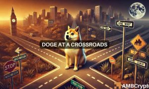 Doge Kelvin Fi 1000x600.jpg