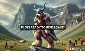 Floki 1000x600.jpeg