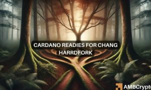 News Articles Fi Editors 54 1000x600.jpg