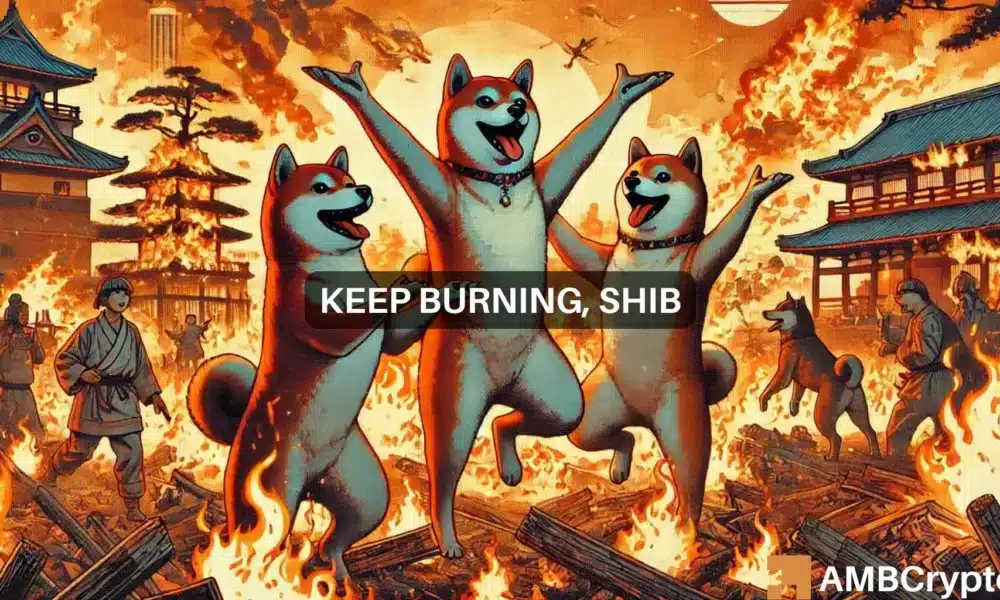 Shib 1000x600.webp.webp