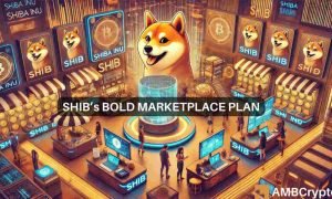 Shiba Inu Update 1000x600.jpeg