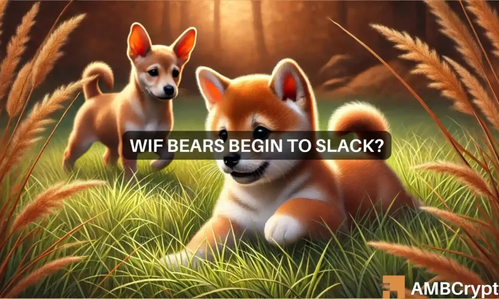 Wif Featured Image 1000x600.webp.webp
