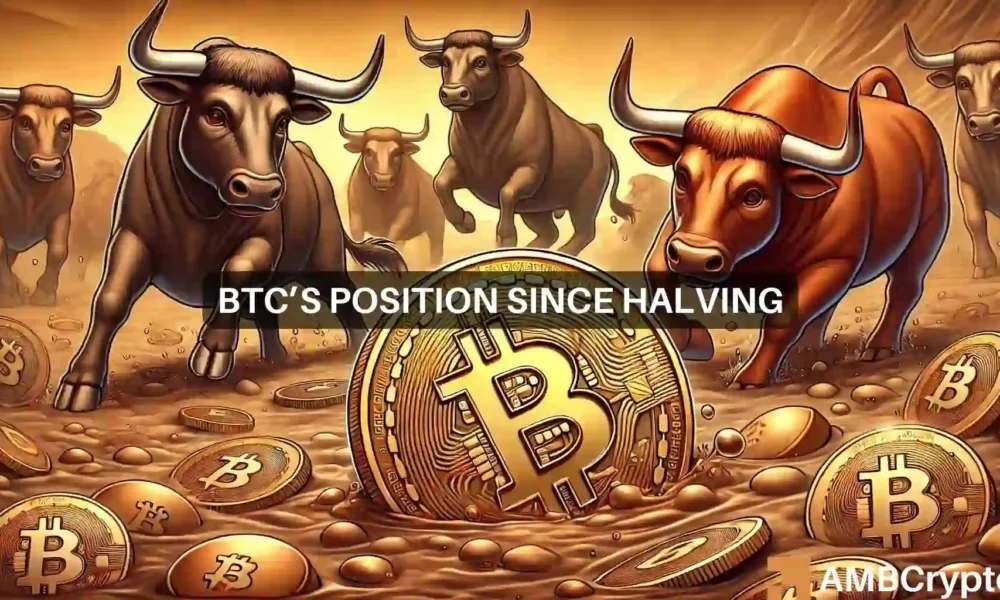 Bitcoin News Since Halving 1000x600.webp.webp