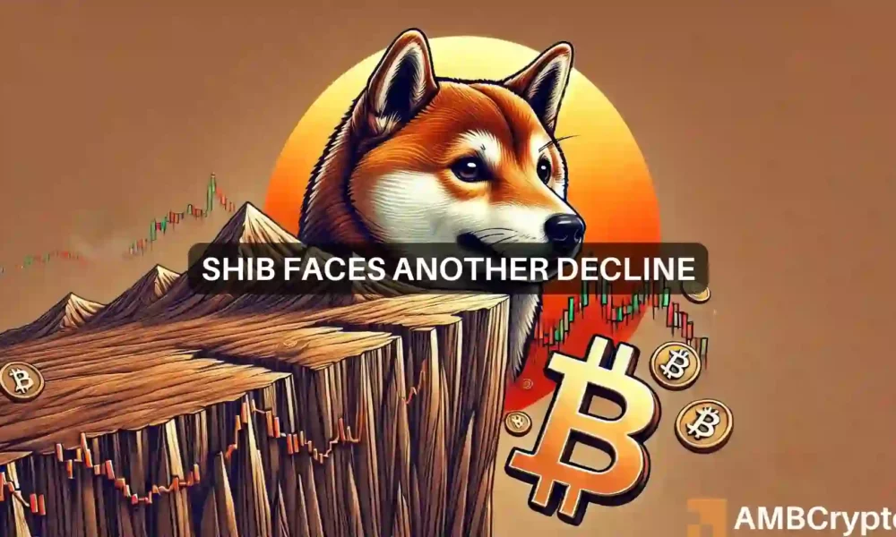 Shiba Inu Shib News 1000x600.webp.webp