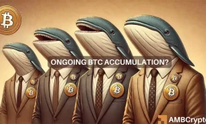 Bitcoin Whales 1 1000x600.webp.webp