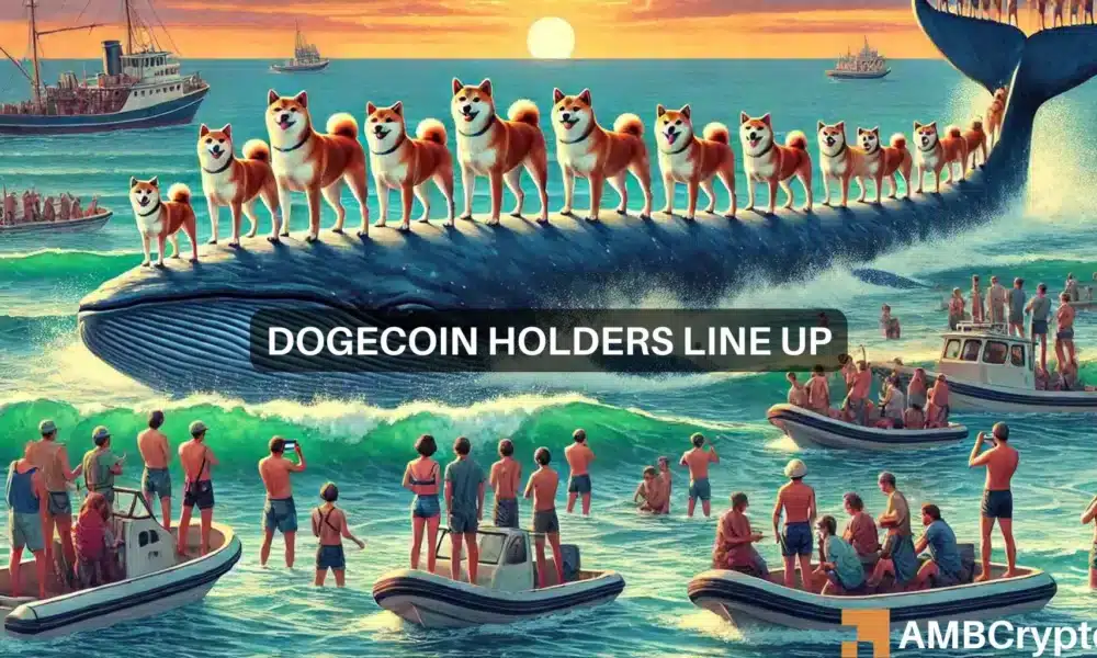 Doge 3 1000x600.webp.webp