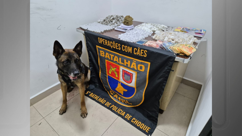 Gelo Em Sao Joaquim 9 2.png