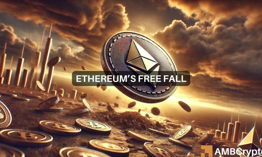 News Articles Fi Editors 75 1000x600.jpg