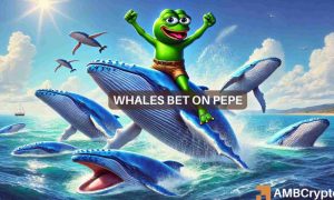 Pepe 1000x600.jpeg