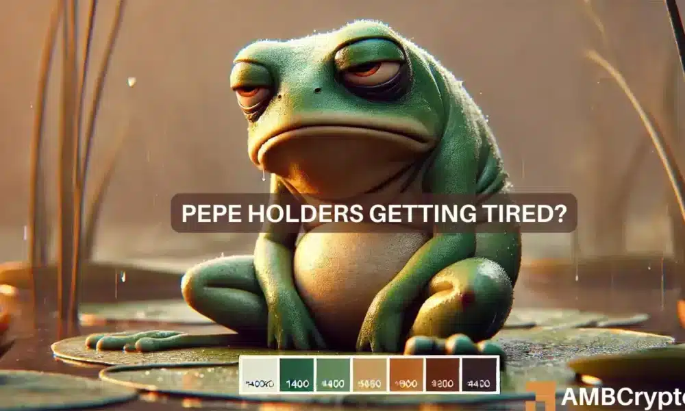 Pepe 1 1 1000x600.webp.webp
