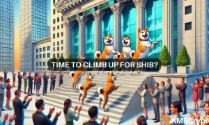 Shib 3 1 1000x600.webp.webp