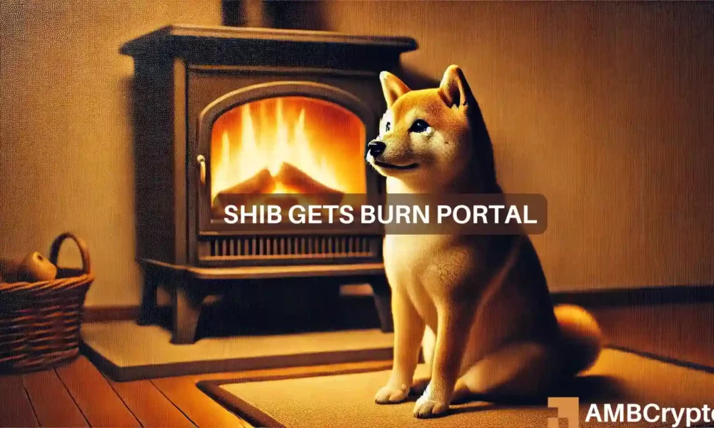 Shiba Inu 1 1000x600.webp.webp