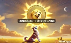 Sundog Featured 1000x600.webp.webp