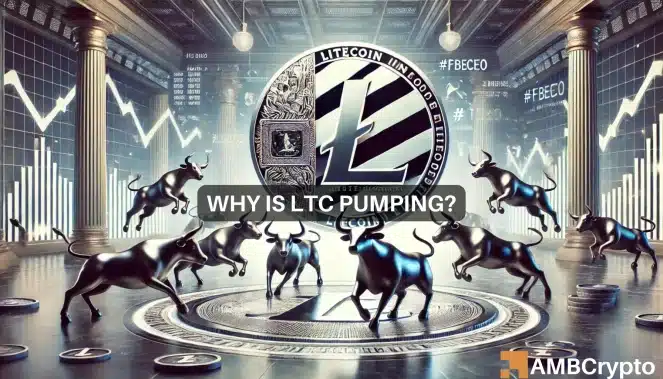 Why Is Litecoin Pumping.webp.webp