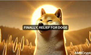 Doge Webp 1 1000x600.webp.webp