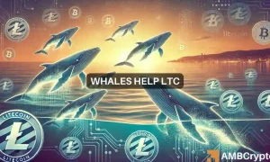 Ltc Webp 1000x600.webp.webp