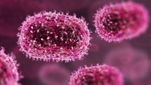Virus Mpox.jpg