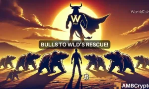 Wld Webp 1000x600.webp.webp