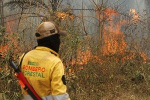 2024 09 23t181919z 1 Lynxmpek8m0lu Rtroptp 4 Bolivia Wildfires.jpg