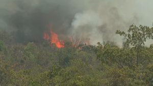 Br Cnn 160924 Link Df Img Incendio Parque Frame 23765.jpeg