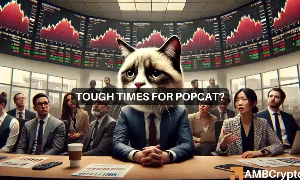 Chandan Popcat 1000x600.webp.webp