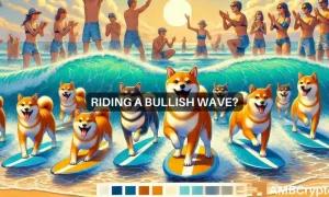 Erastus Shib 3 1000x600.webp.webp