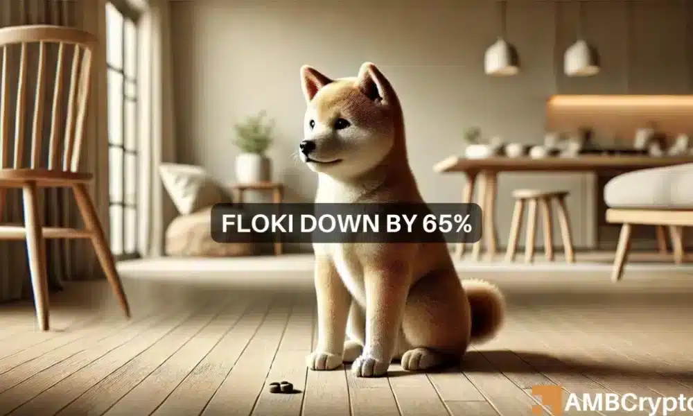 Floki Down By 65 1000x600.webp.webp