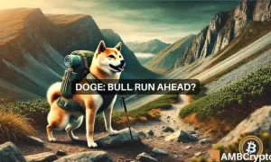 Kelvin Doge 1000x600.webp.webp