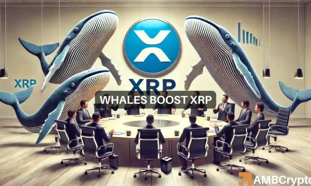 Kelvin Xrp 1000x600.webp.webp