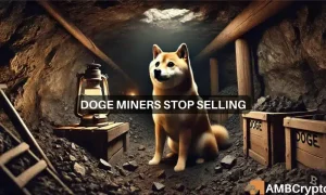 Lennox Doge 1 1000x600.webp.webp