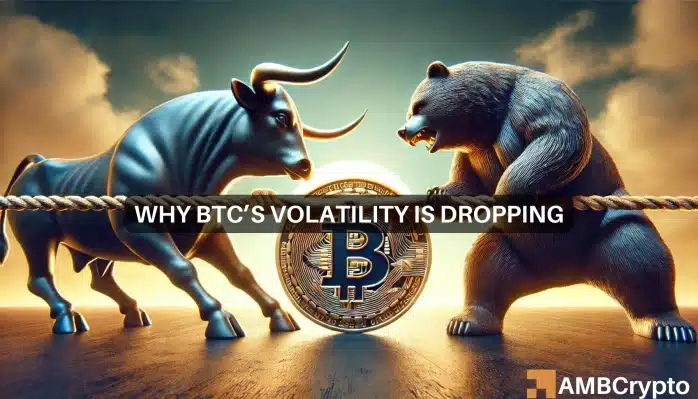 Mary Btc.webp.webp