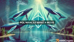 Polygon Whales Make A Move.webp.webp